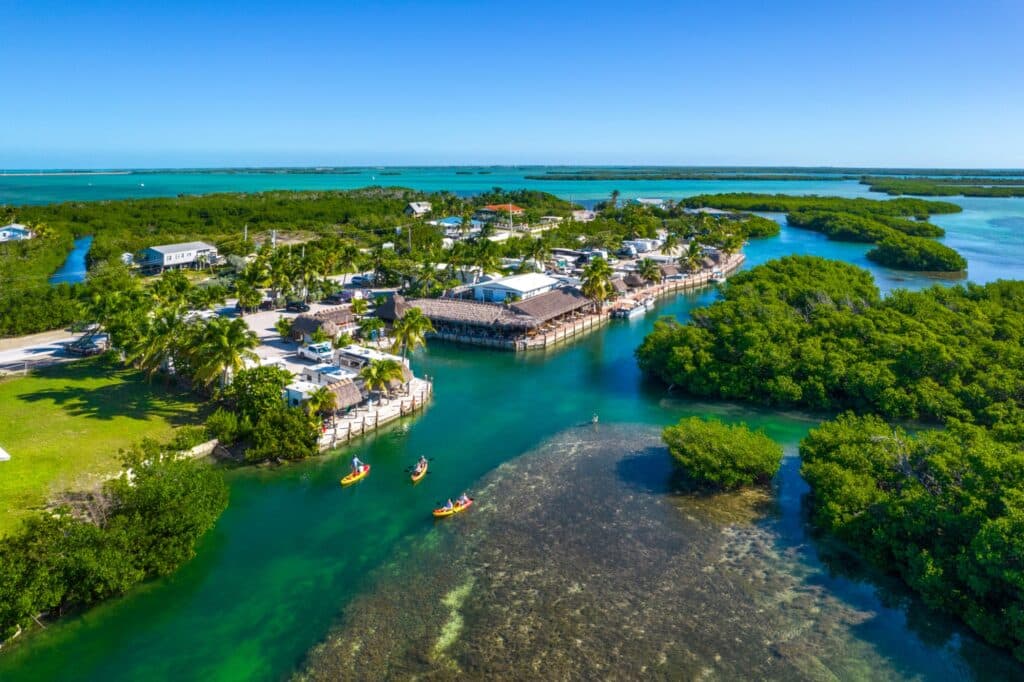 Aerial view of a destination marina with waterfront amenities, dock access, and mangrove shoreline